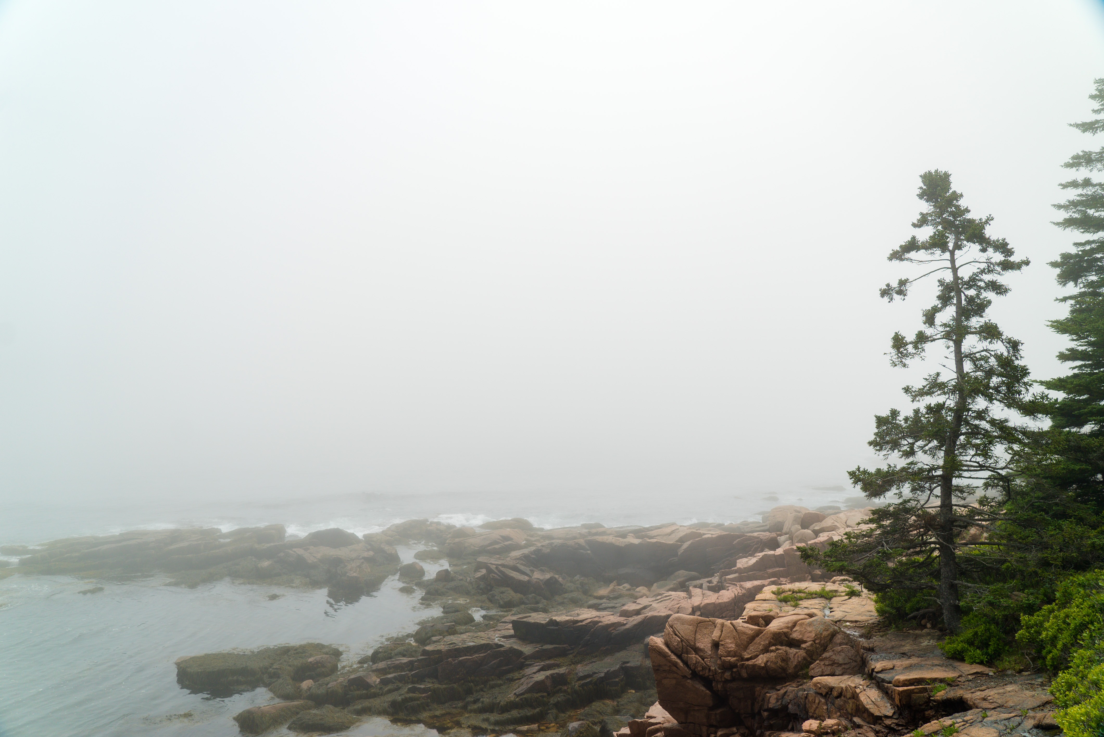 USA Acadia Nationalpark neblige Küste
