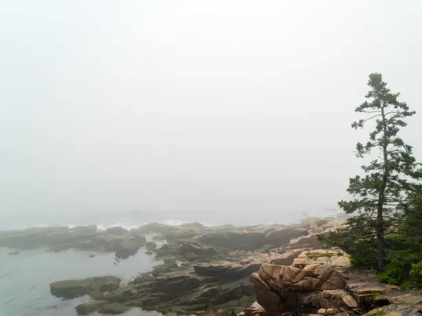 USA Acadia Nationalpark neblige Küste