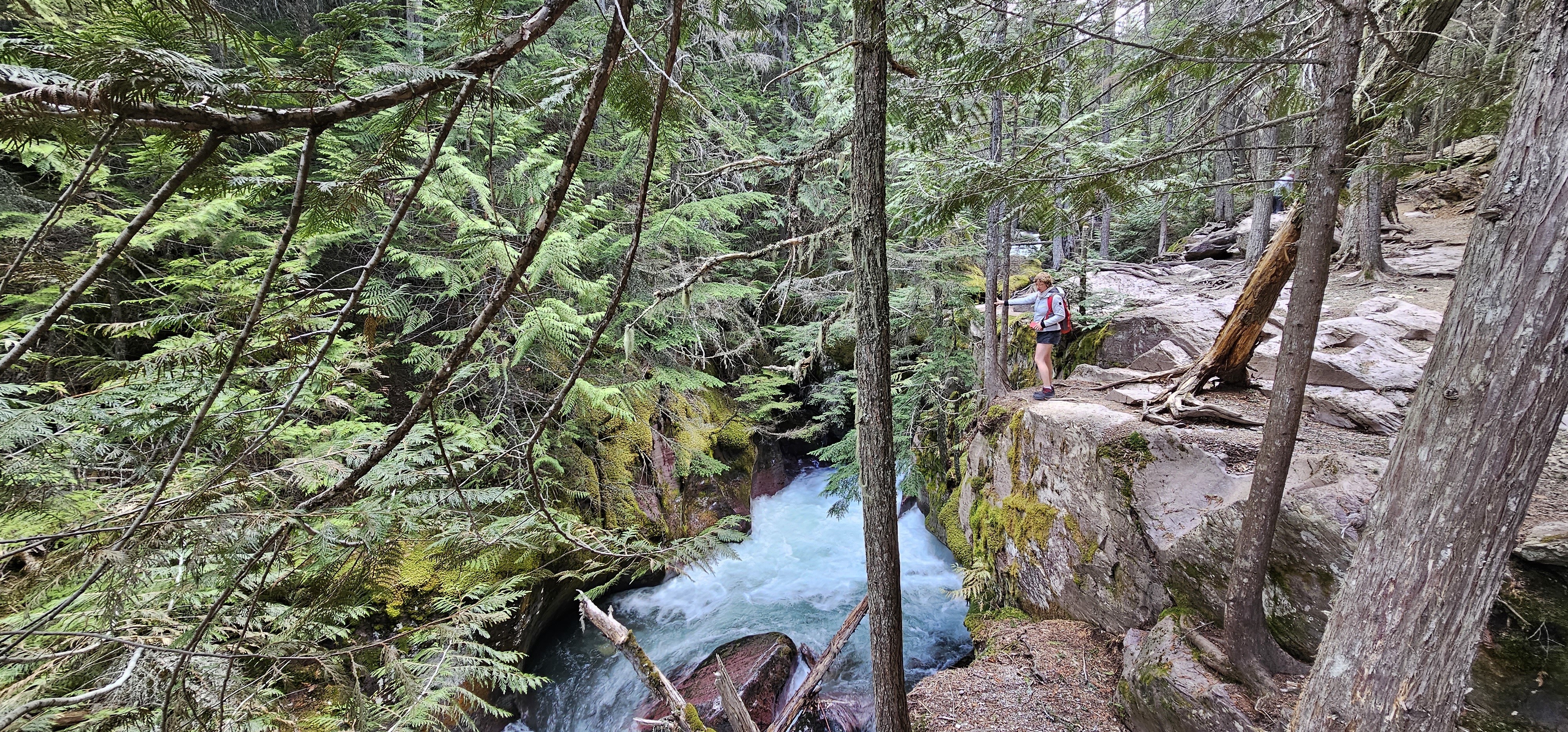 US Montana Glacier National park forest and river