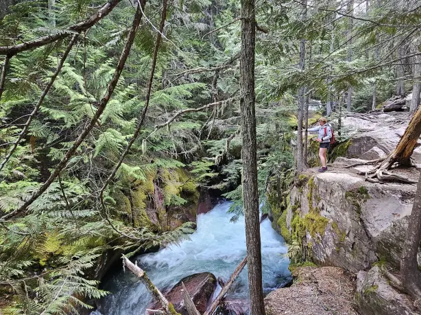 US Montana Glacier National park forest and river
