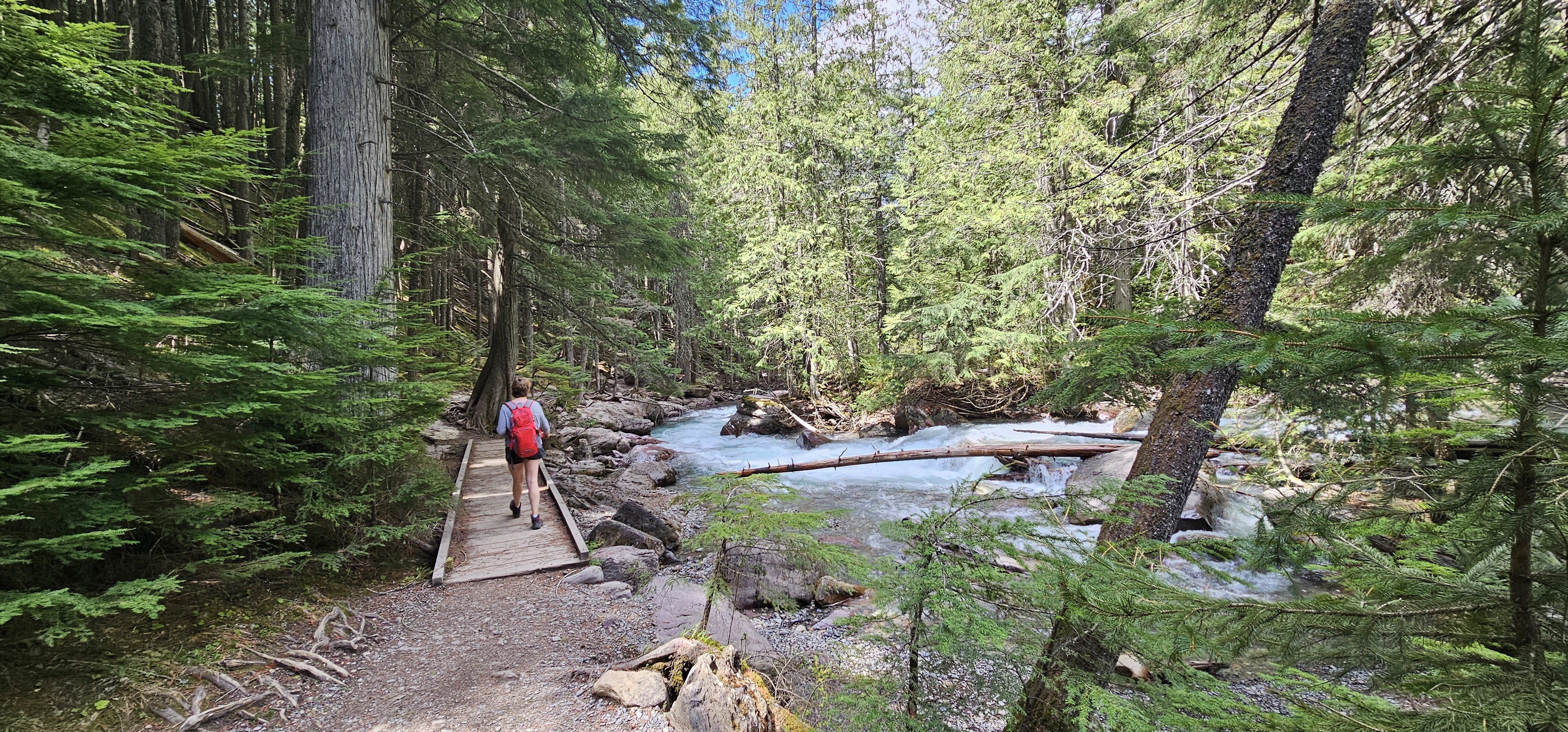 US Montana Glacier National park walking