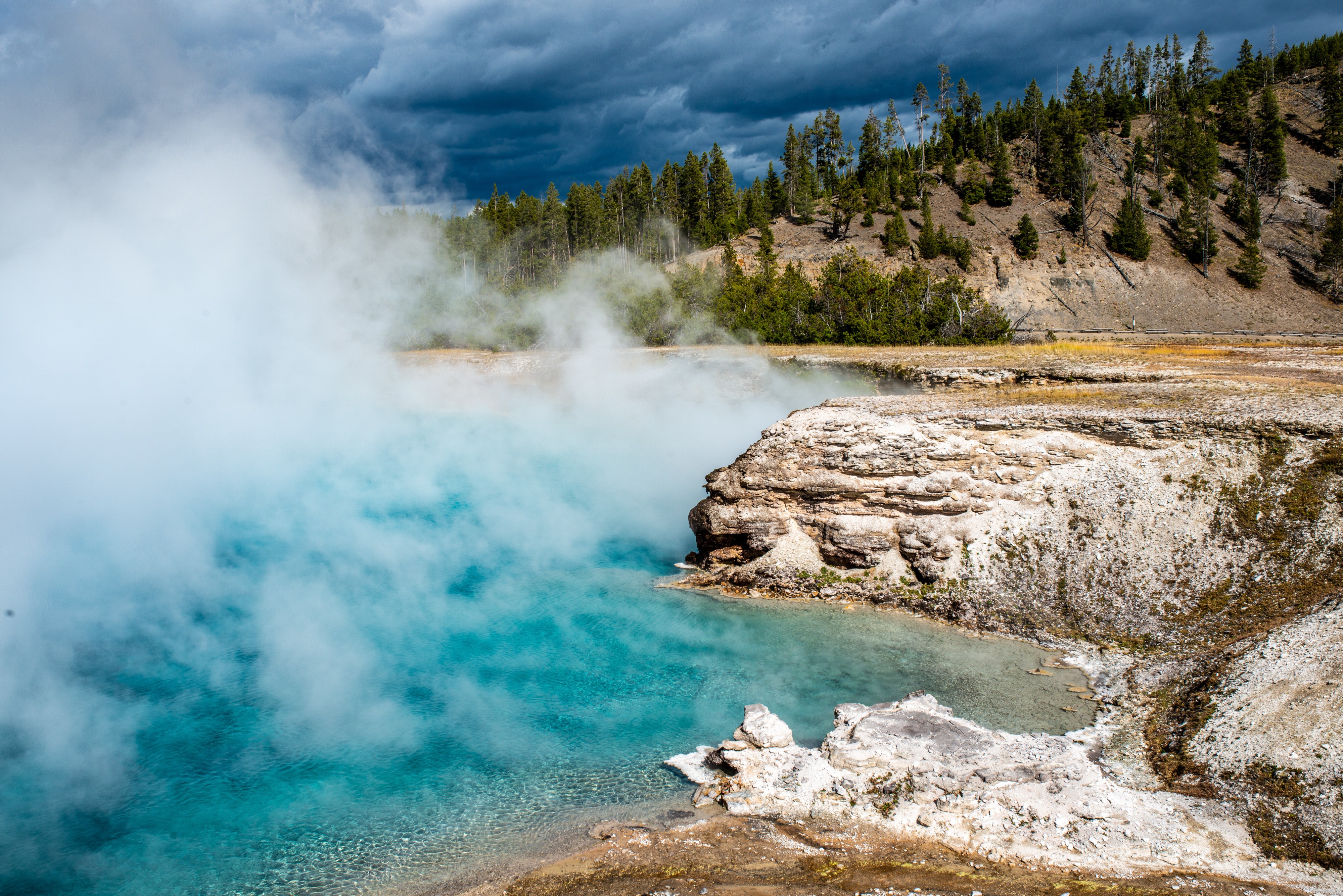 Dampfende, heiße Quelle im Yellowstone Nationalpark mit Bäumen im Hintergrund