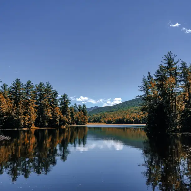 USA New England Vermont Green Mountain National Forest