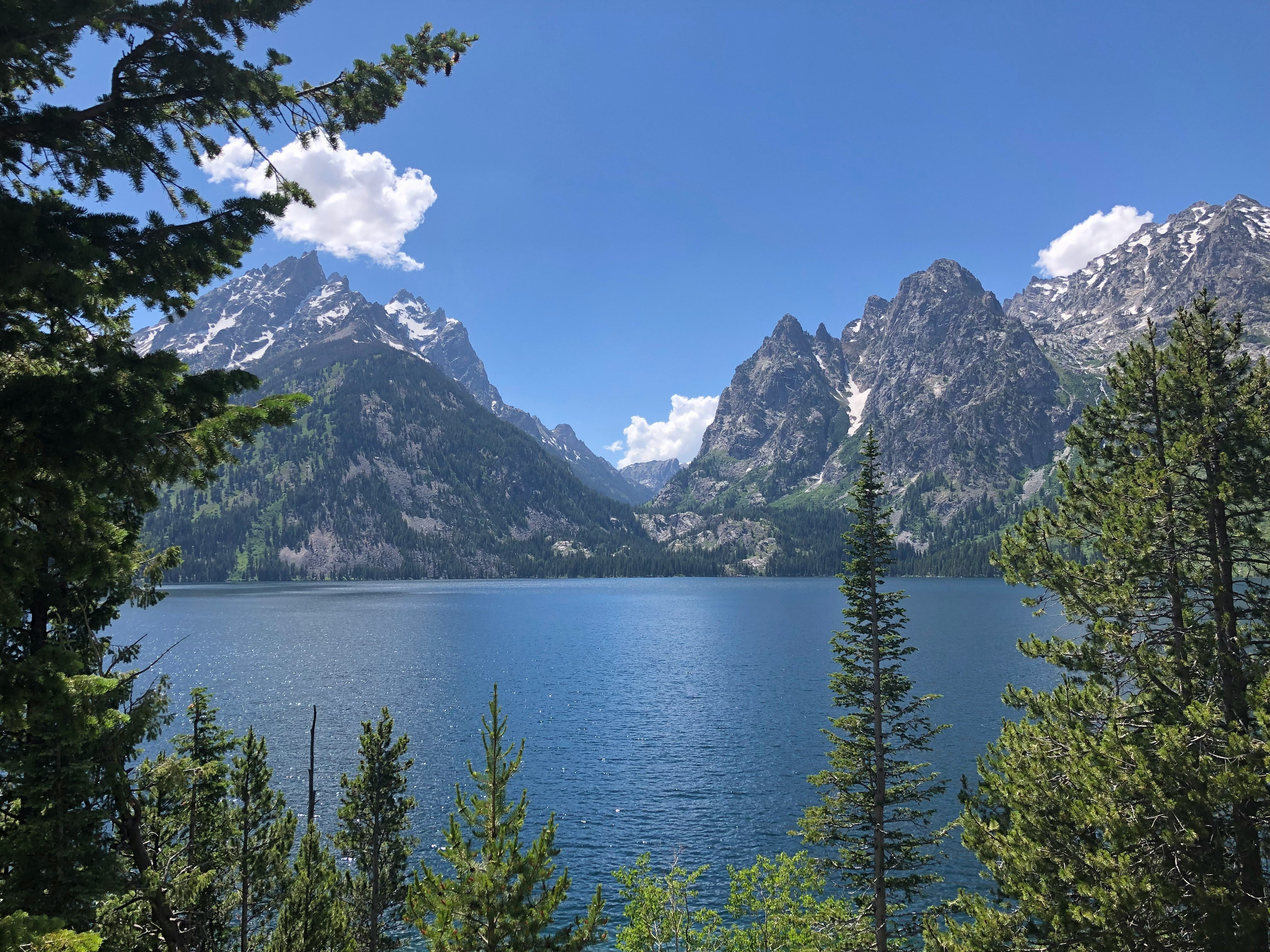 USA Wyoming Jenny Lake