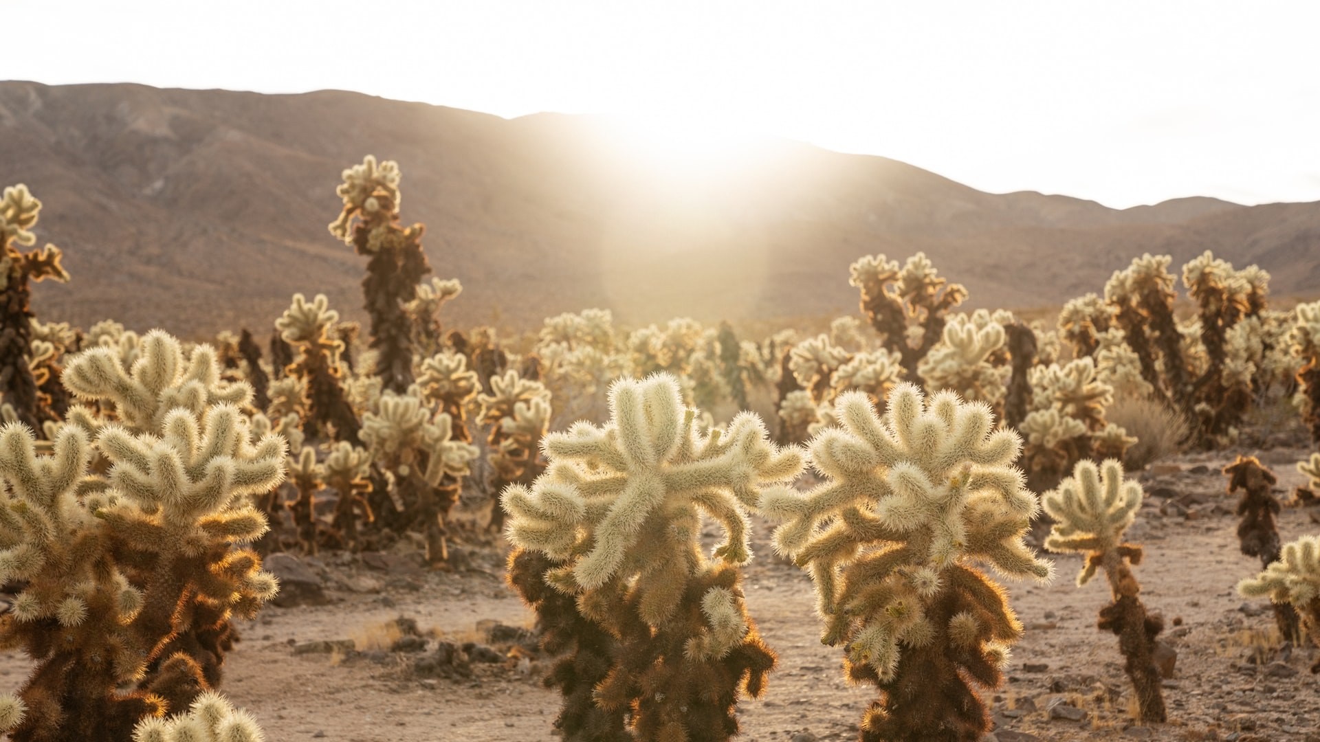 John ko F9 FBOO Kg85 U unsplash