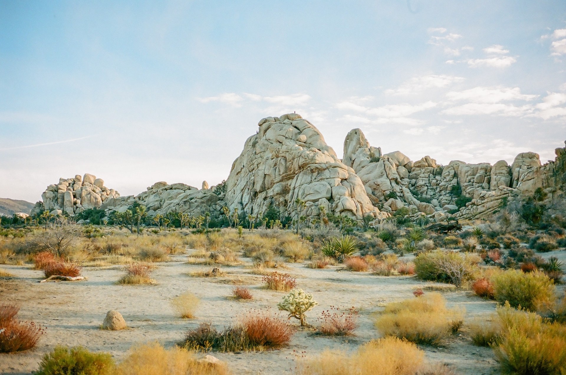 A rocky landscape in Joshua Tree National Park, California, USA