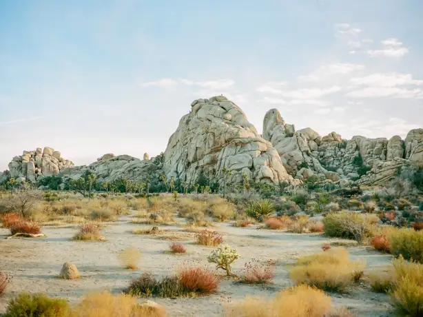 A rocky landscape in Joshua Tree National Park, California, USA