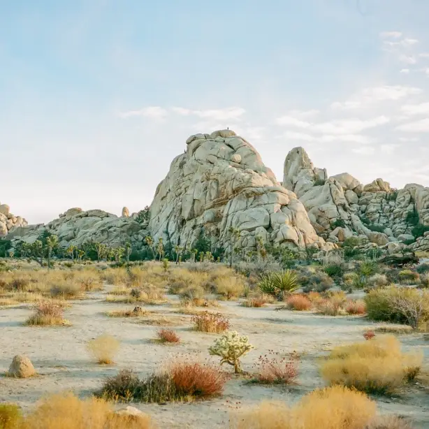 A rocky landscape in Joshua Tree National Park, California, USA