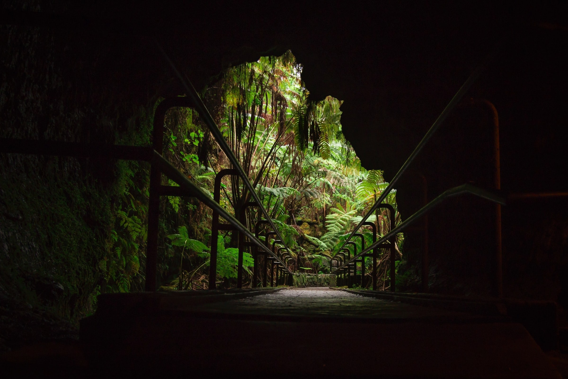 USA Volcanoes Nationalpark Hawaii thurston lava tube