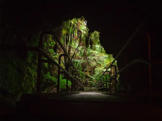 USA Volcanoes Nationalpark Hawaii thurston lava tube