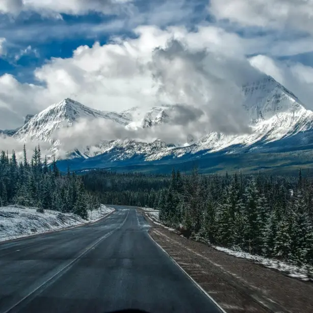 Verlaten weg in Yellowstone National Park met besneeuwde bergtoppen en witgroene bomen langs de weg