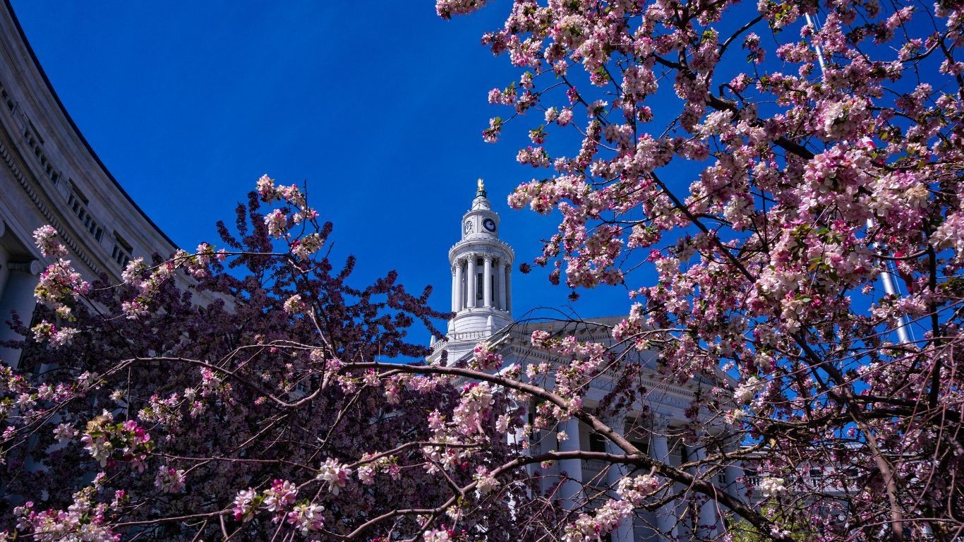 Spring blossom in front of a white building in Denver, Colorado