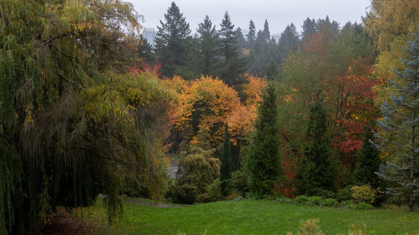 US Oregon Portland Washington Park fall foliage