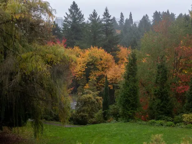 US Oregon Portland Washington Park fall foliage