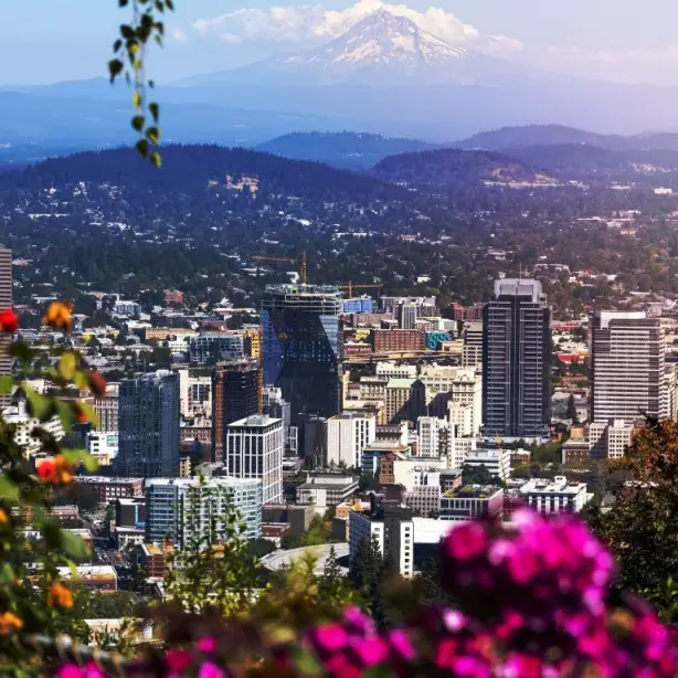 Een panoramisch uitzicht over de skyline van Portland met op de achtergrond de besneeuwde Mount Hood