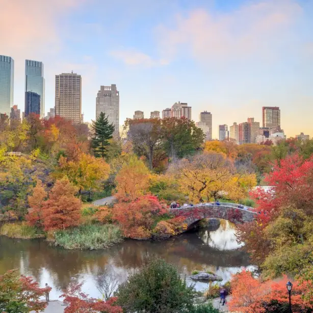 Autumn colours in New York City's Central Park, USA