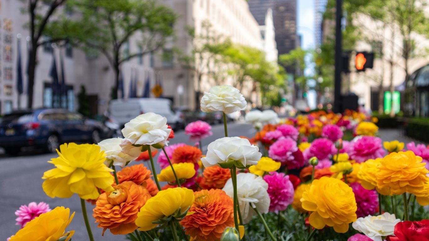 US New York City spring