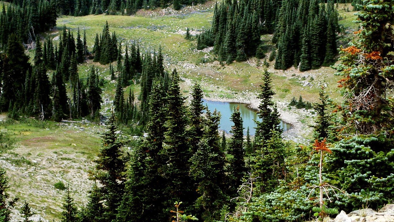 US Washington State Seattle Olympic NP