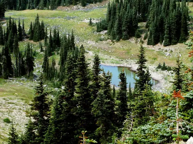 US Washington State Seattle Olympic NP
