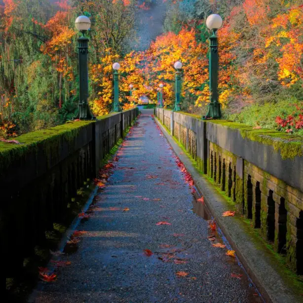 US Washington State Seattle Arboretum Bridge in Fall