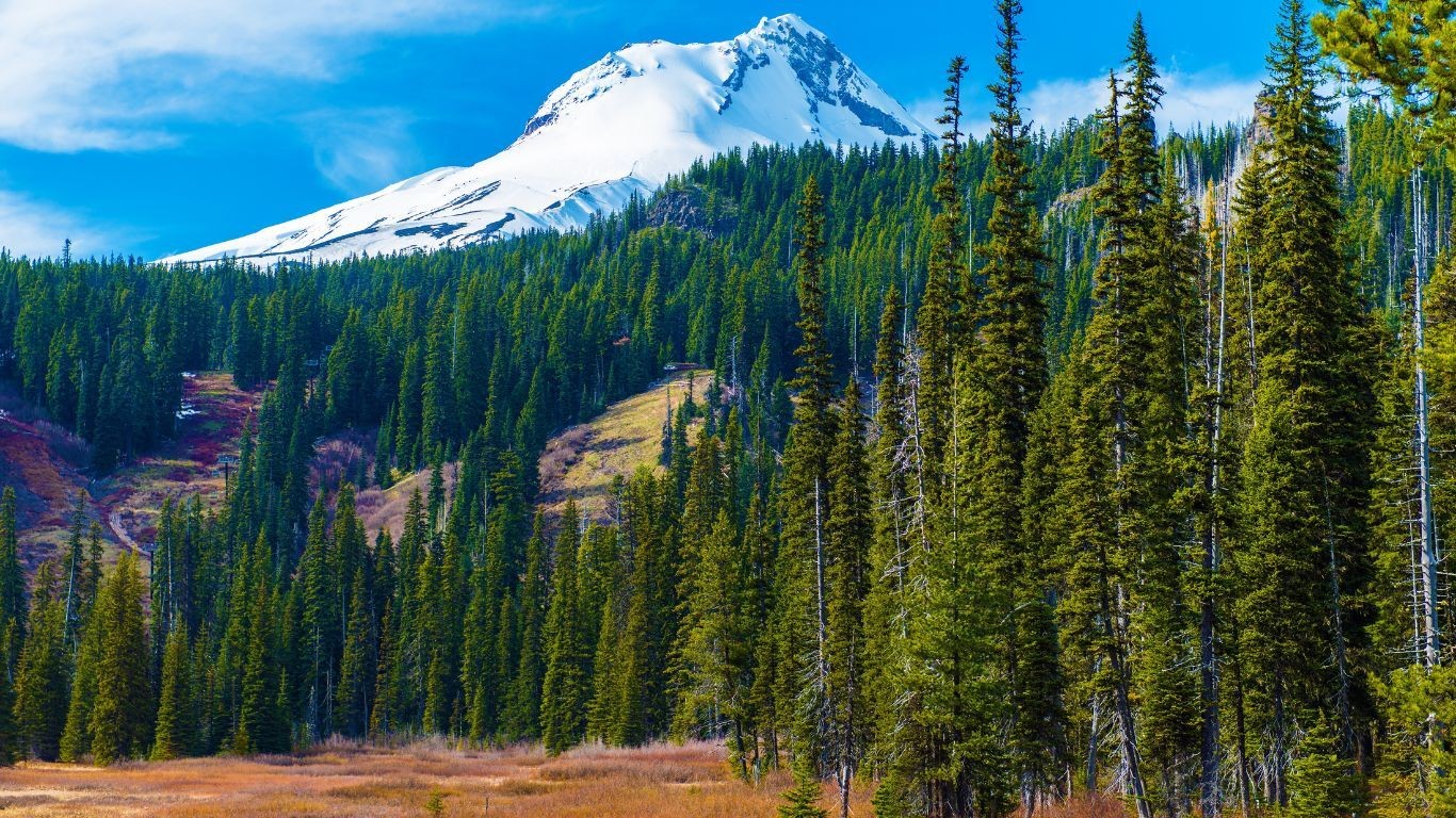 US Oregon Mount Hood snow peak