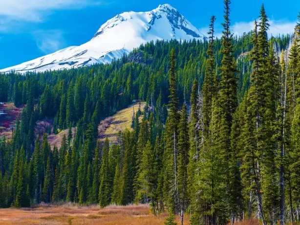 US Oregon Mount Hood snow peak