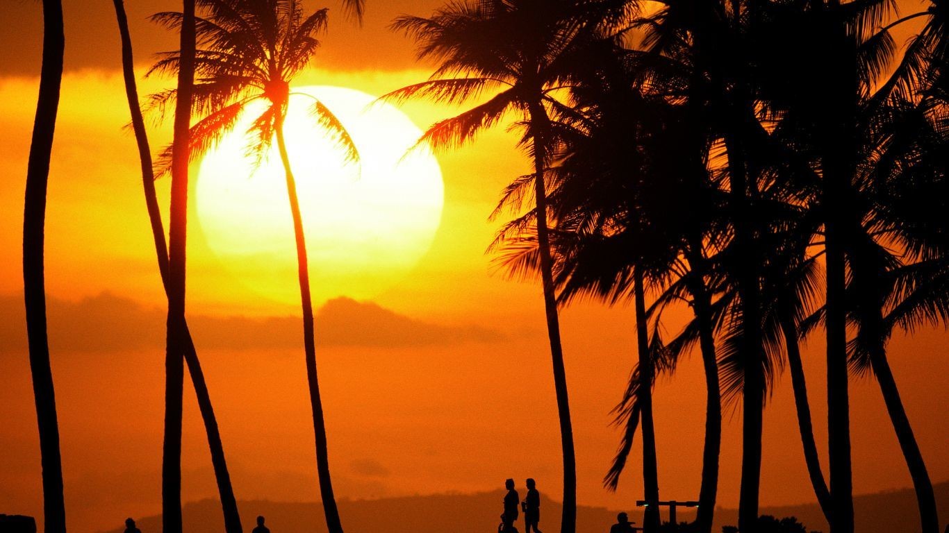 The sun sets behind some palm trees while people walk along the beach in Oahu, Hawaii