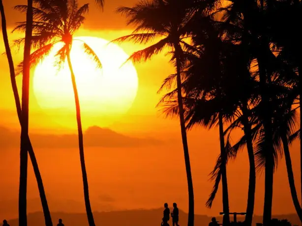 The sun sets behind some palm trees while people walk along the beach in Oahu, Hawaii