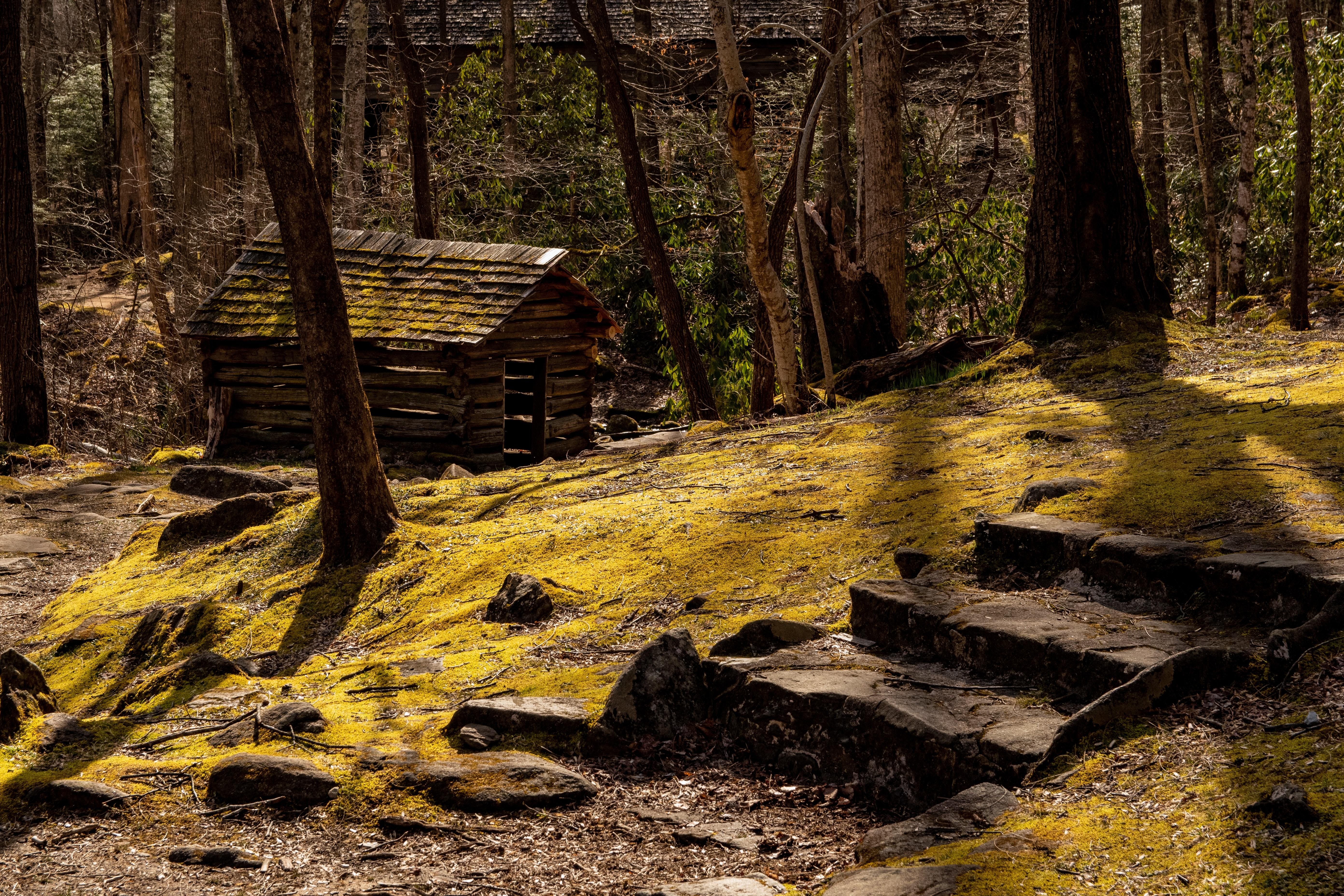 USA North Carolina house porters creek trail joshua bedford unsplash
