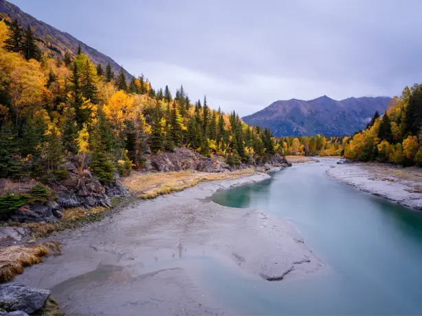 Der herbstlich orange gefärbte Chugach National Forest in Alaska