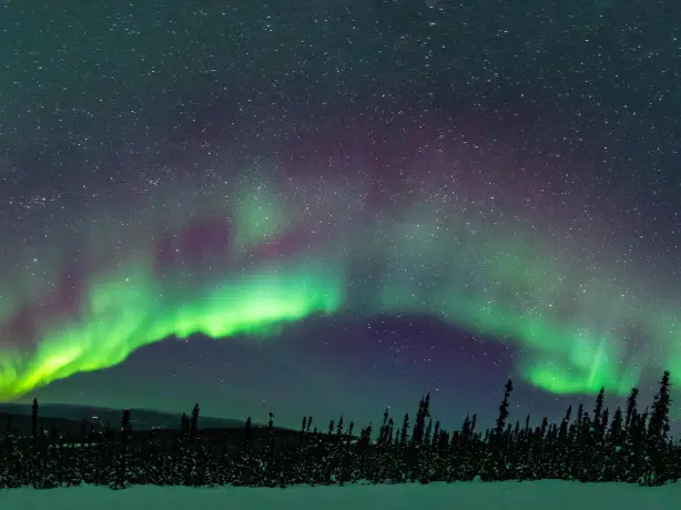 Grün schimmernde Nordlichter über Fairbanks in Alaska