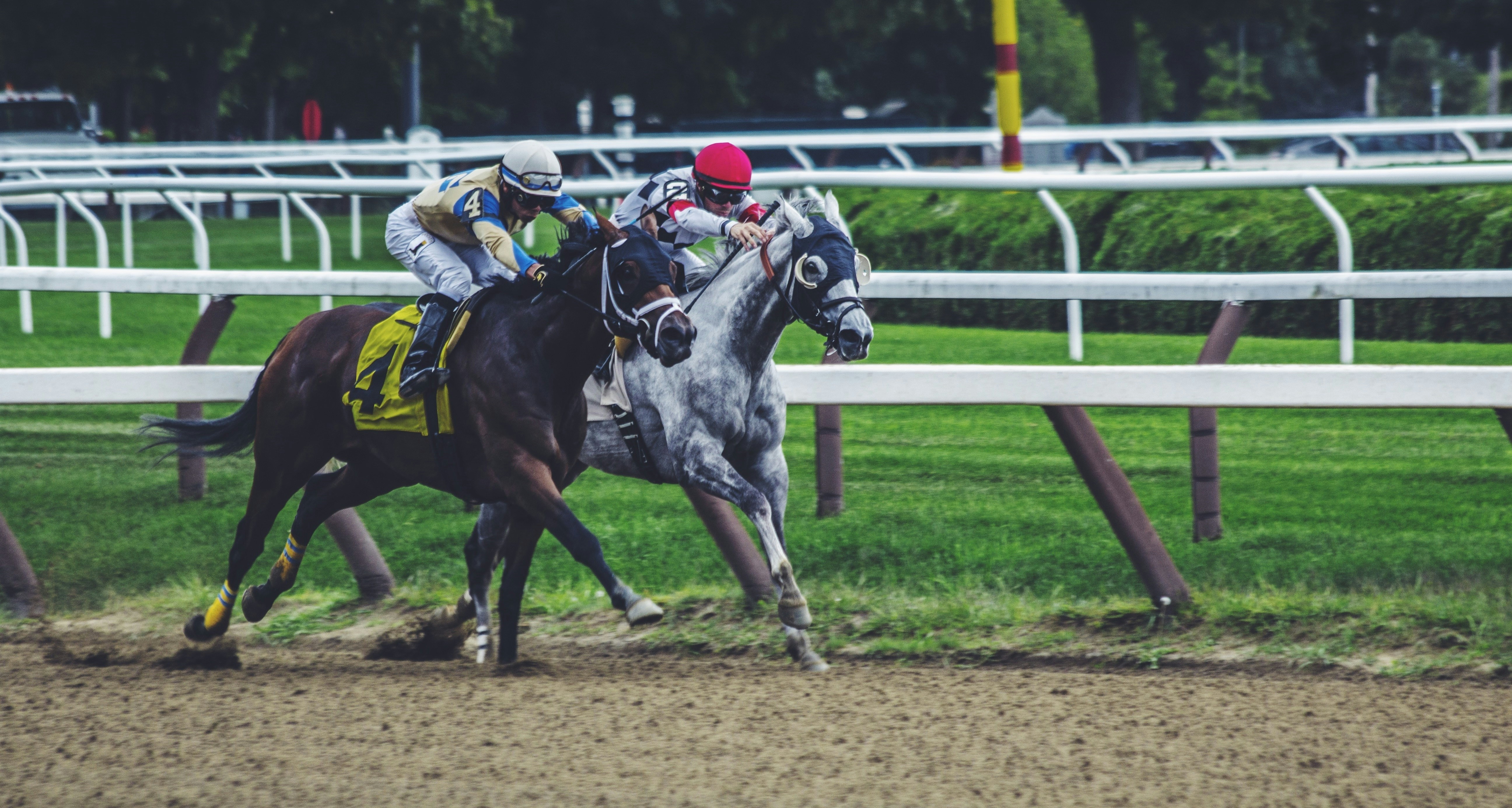 USA Northeast New York State Saratoga Race Course