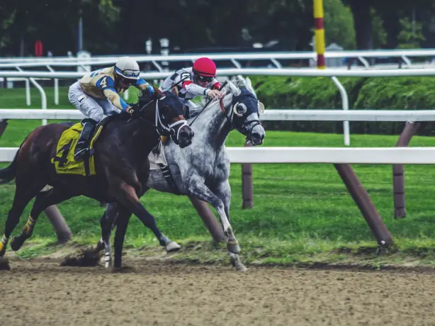 USA Northeast New York State Saratoga Race Course