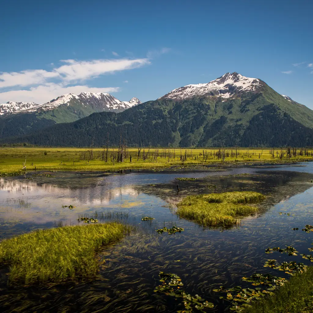 Ein Fluss in Alaska mit grünen Bergen im Hintergrund, auf dessen Gipfel Schnee liegt