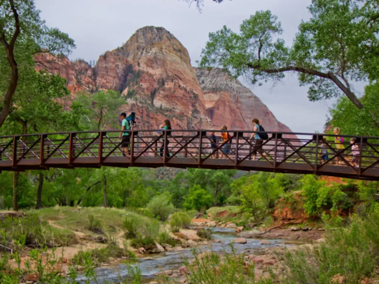 Zion 5