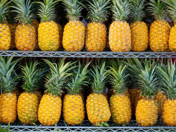 United states hawaii pineapple fiona smallwood