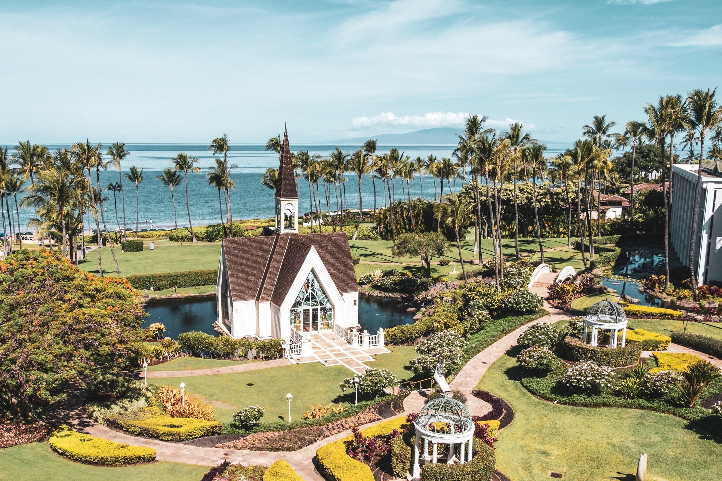 United states hawaii wailea town ocean palm trees