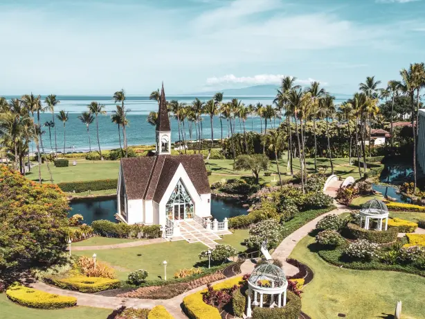 United states hawaii wailea town ocean palm trees