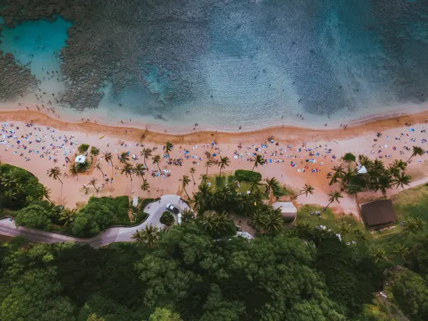 United states honolulu hawaii beach