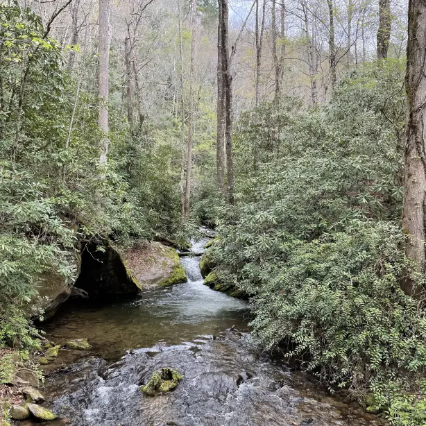 US North Carolina Great Smoky Mountains stream through forest