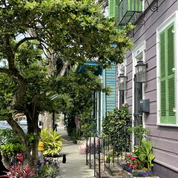 US Louisiana New Orleans cute street