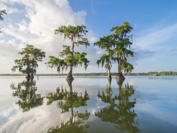 US Louisiana swamp