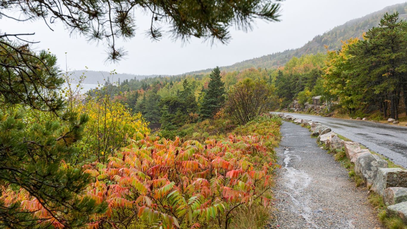 USA Acadia National Park park loop road