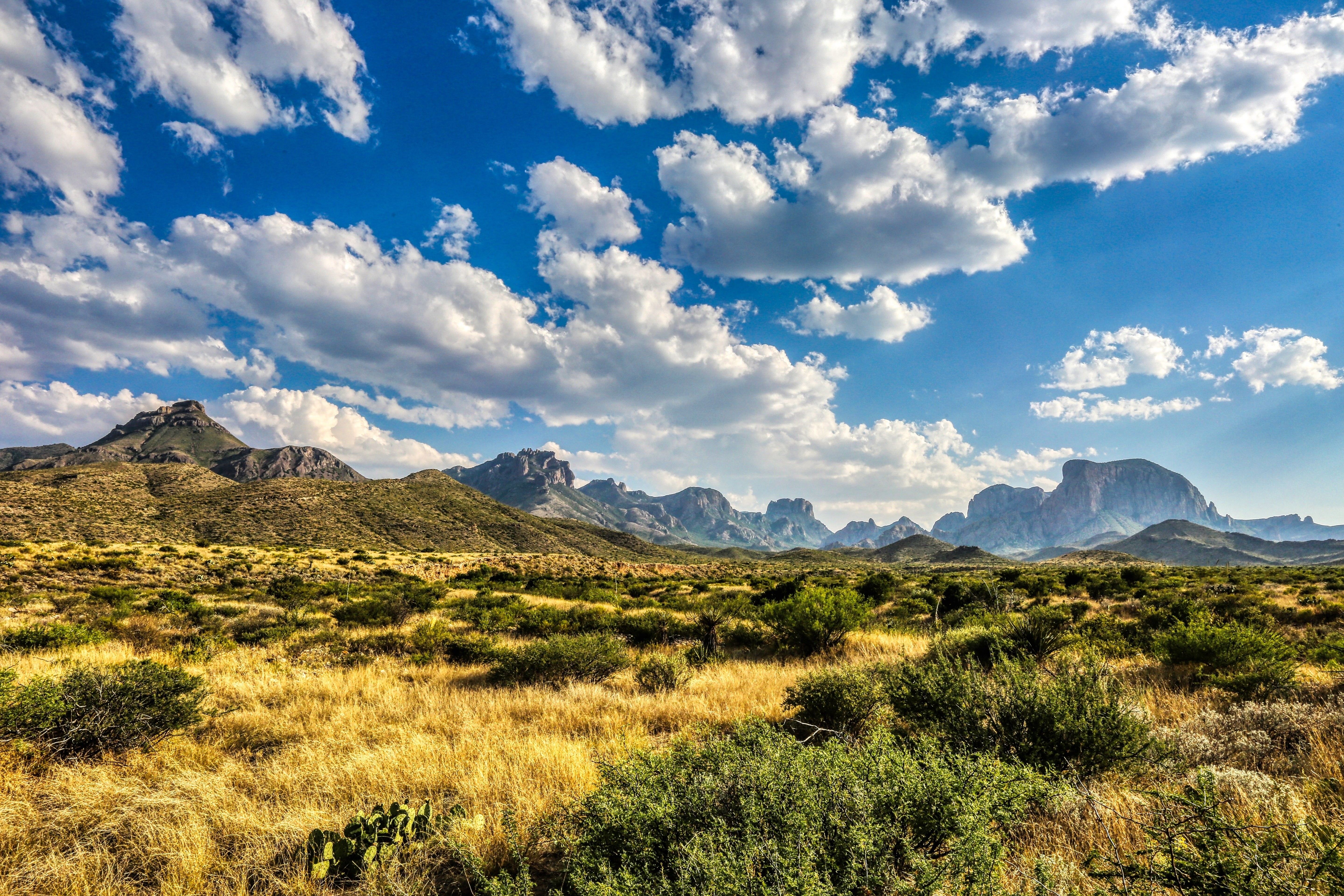 USA Deep South Texas Big Bend Nationalpark