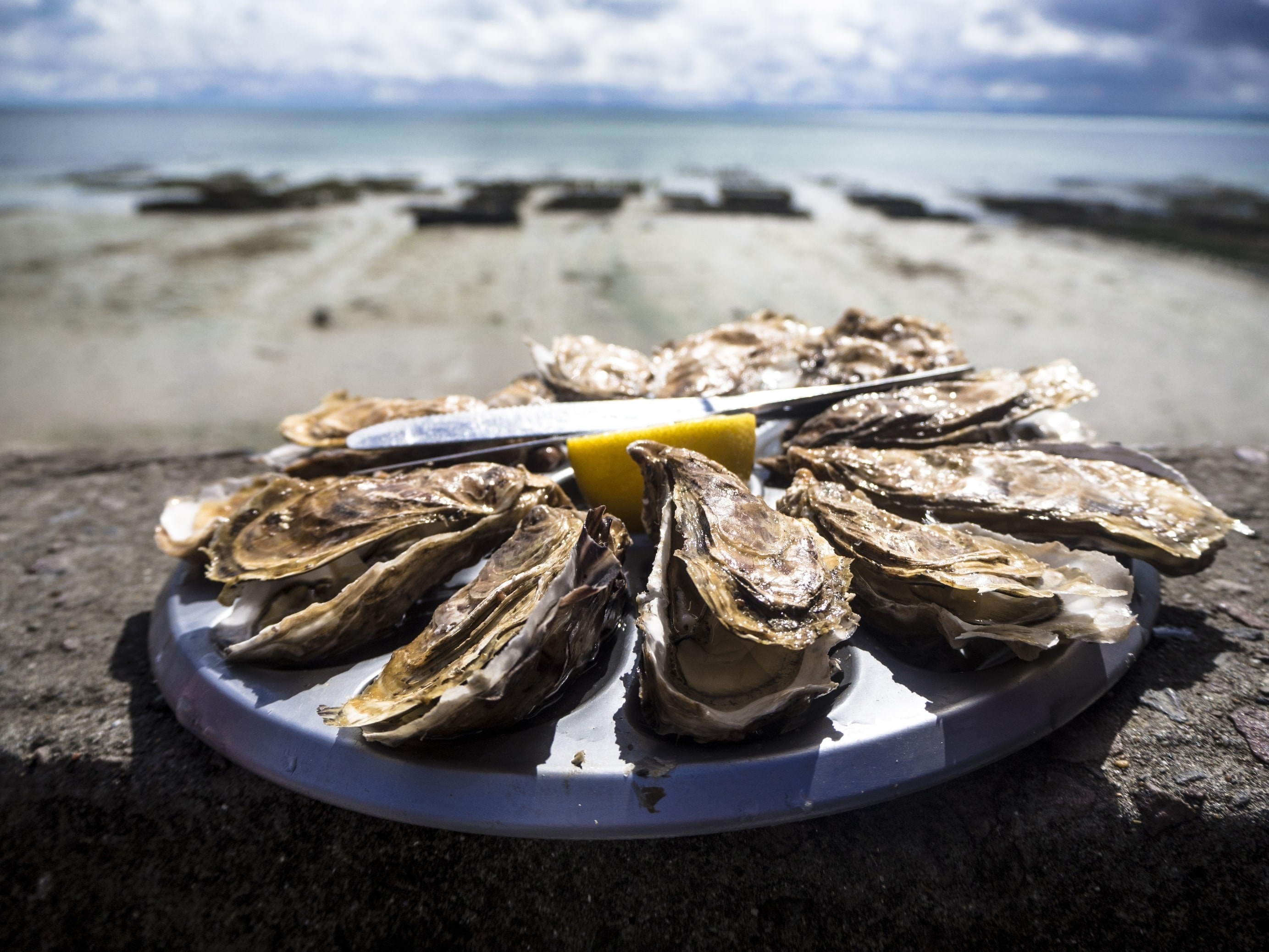 america-culinary-oysters-seafood