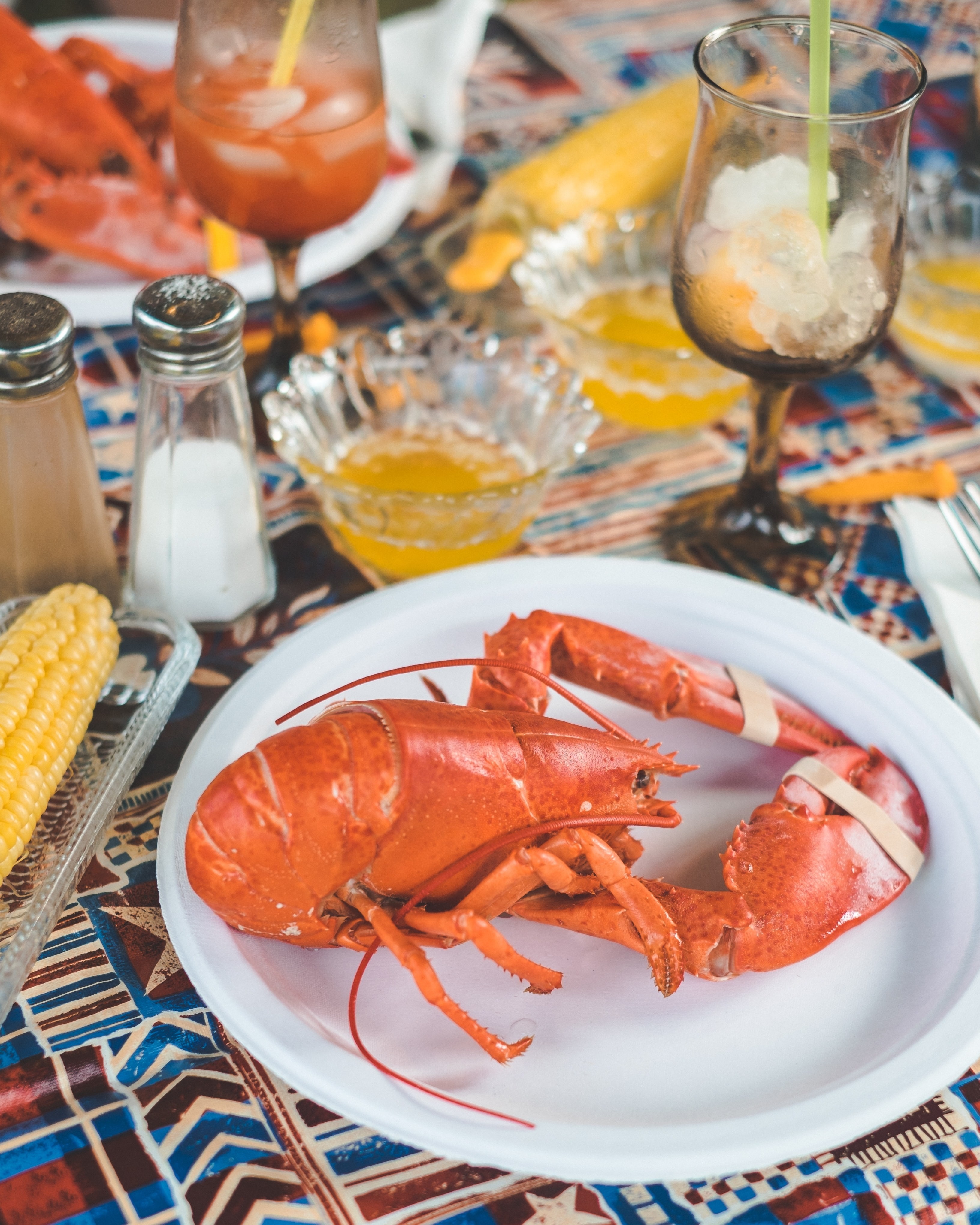america-culinary-lobster-seafood