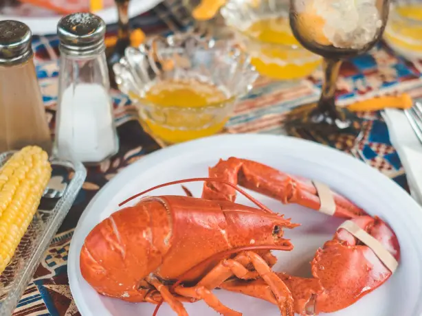 america-culinary-lobster-seafood