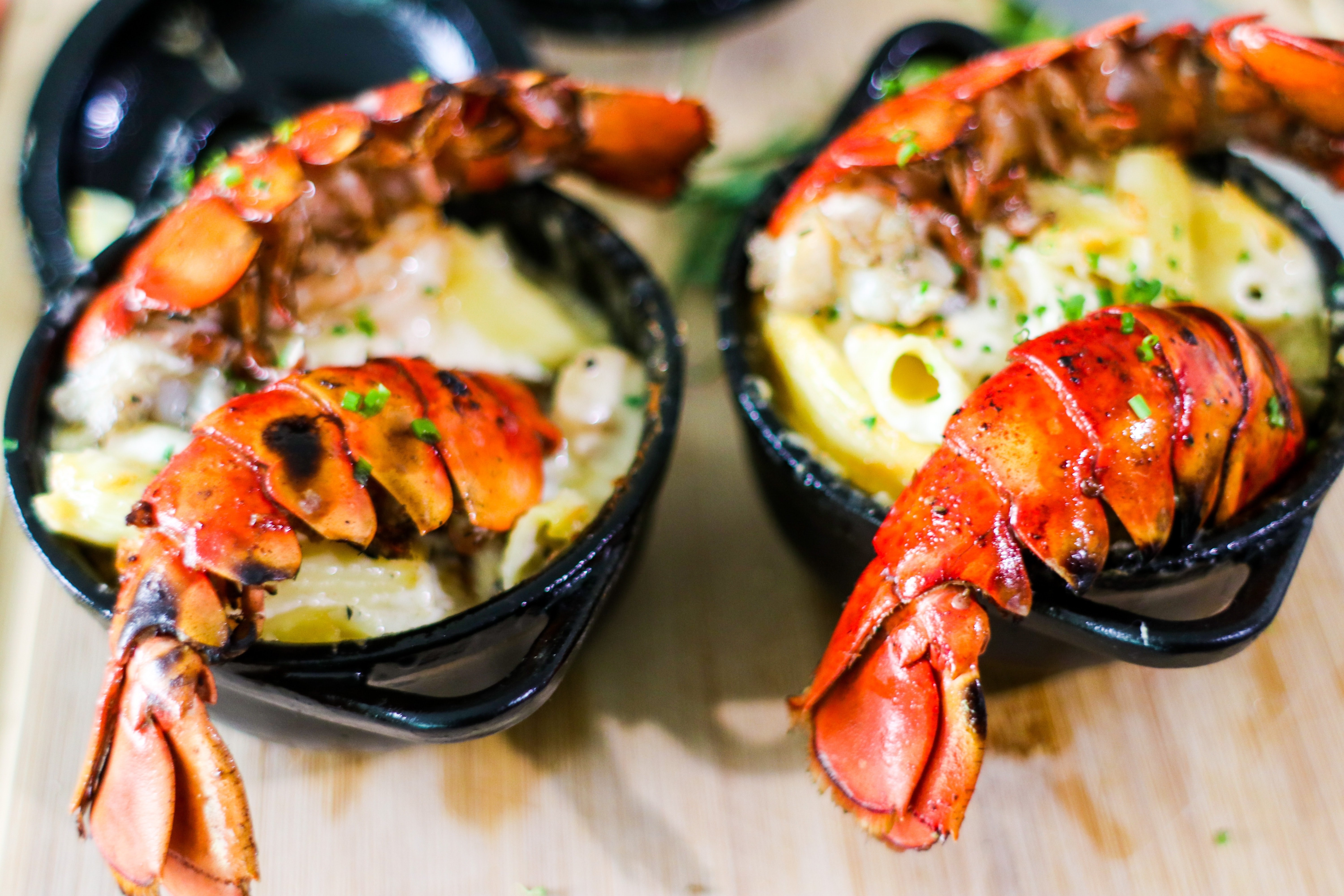 america-culinary-seafood-lobster