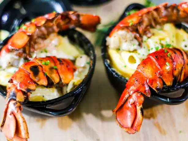 america-culinary-seafood-lobster