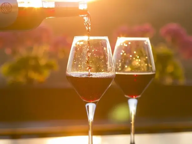 america-culinary-wine-redwine